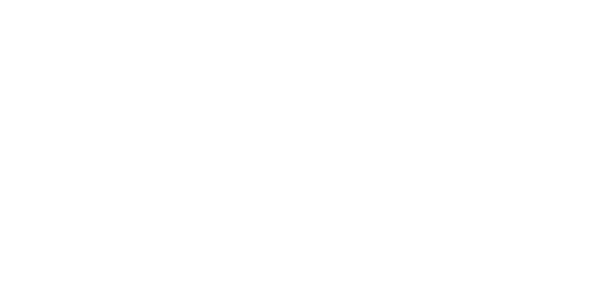 Partner-Logo Liv