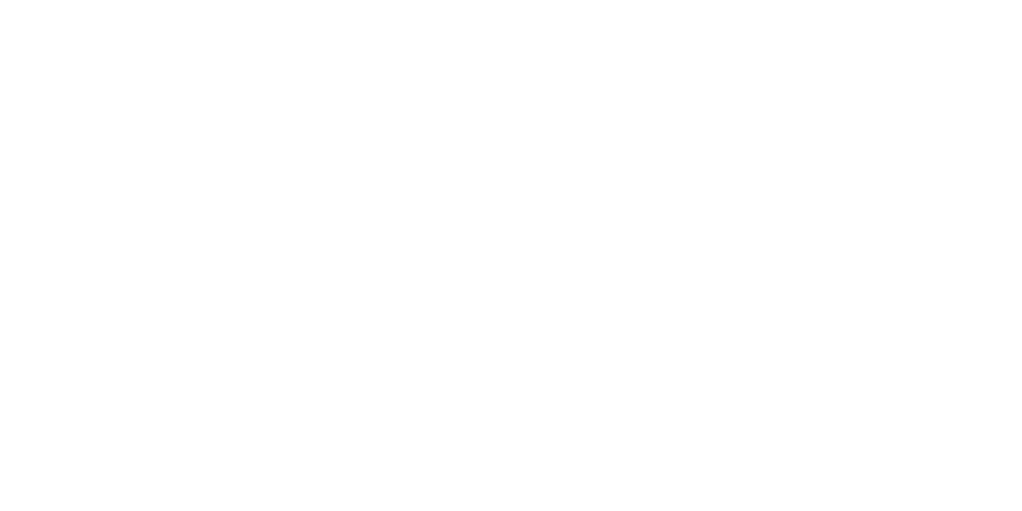Partner-Logo Specter
