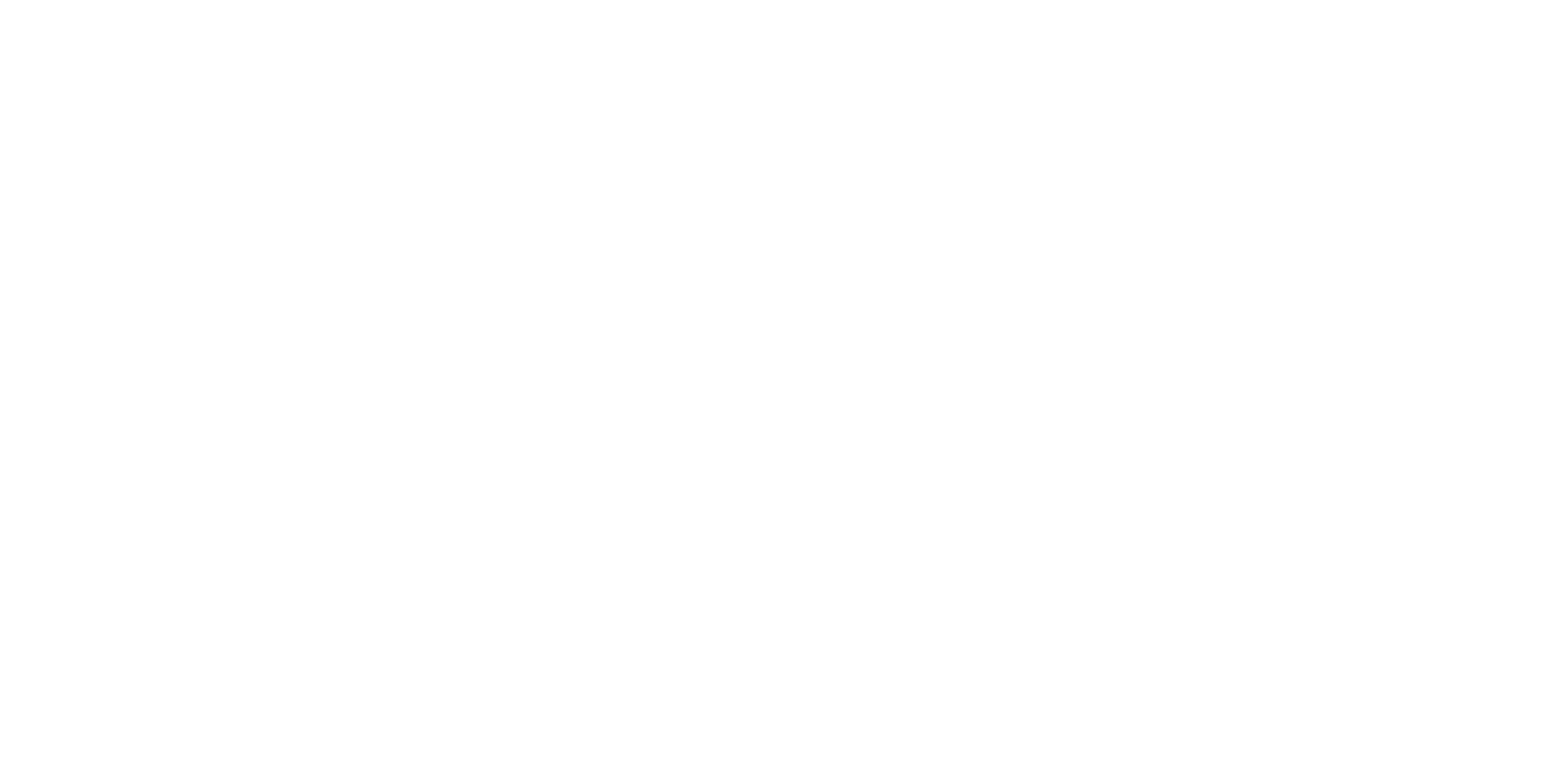 Partner-Logo Willier