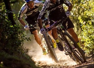 Cannondale Händler Flensburg