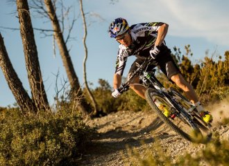 Cannondale Händler Flensburg