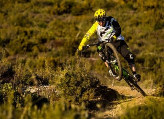 Cannondale Händler Flensburg